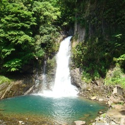 河津七滝が一つ