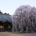 栄福寺