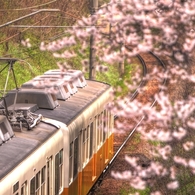 春色電車