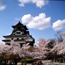 犬山の春景　犬山城