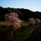 しだれ桜と春の小川
