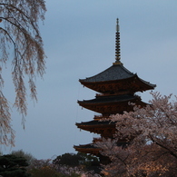 東寺