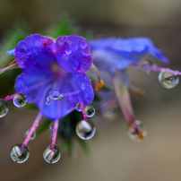 雨の日のご褒美