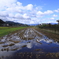 雨上がりの散歩道