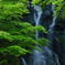 糸島の「白糸の滝」