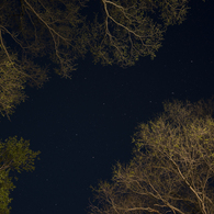 見上げてごらん，夜の星を