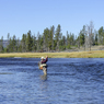 Firehole River #07　Fish On !!