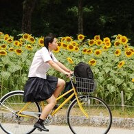 ひまわりと女子高校生