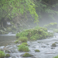 元滝伏流水