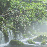 元滝伏流水