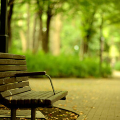 lonely　bench