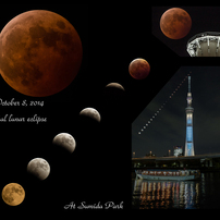 October 8, 2014 total lunar eclipse