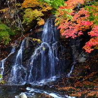 もみじ山の秋 2014