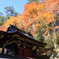 三峰神社の紅葉１４１０３００３