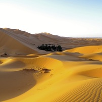 Erg Chebbi 1