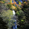 秋の猿尾滝