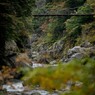 Hatonosu-bridge