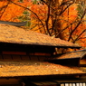 屋根と紅葉4