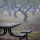 The table in fog 