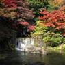 日本庭園　滝