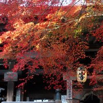 石山寺の秋