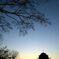 鶴舞公園の夕日