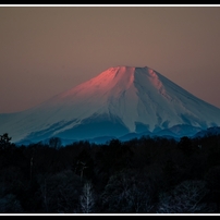 ２０１５日本での新年