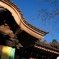 Temple Roof