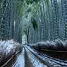 竹林の小路雪景色