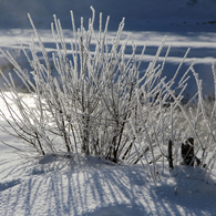 -10℃の朝 - 川霧