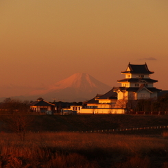 朝陽に輝く関宿の城