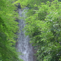 養老の滝