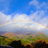 夢の橋