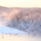 雪裡川の朝