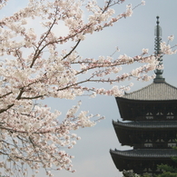 春の興福寺