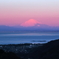 相模湾に浮かぶ紅