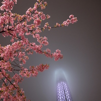夜の東京スカイツリー