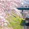 桜トンネルと御殿場線