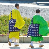 お坊さんも春色