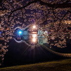 夜桜の錦帯橋