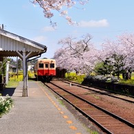 素人の撮った鉄道写真