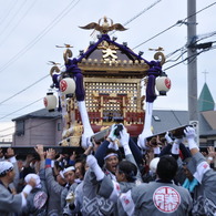 藤若　神輿が舞う！