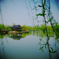 水辺の風景