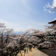 富士山と桜と五重塔