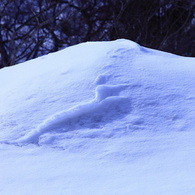 雪富士