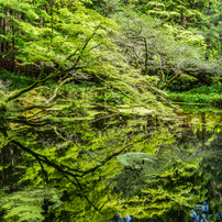 水と緑の風景 2015年春