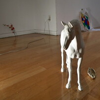スタジオに立つ白い馬