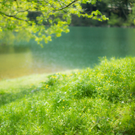 富山ー石川県境　蛇ヶ池