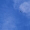 江戸川河川敷上空を飛ぶ飛行機