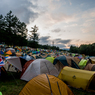 FUJI ROCK FESTIVAL`15 (26)